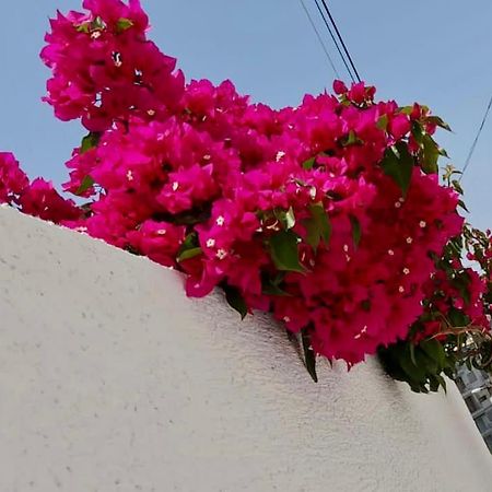 Ona Apartament Saranda Extérieur photo